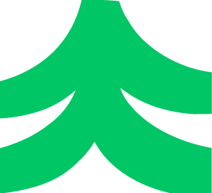 tangram-icone_10